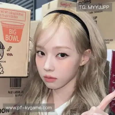 何鹰辉